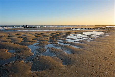 dutch landscape - Wooden Breakwater on Sandy Beach at Low Tide, Domburg, North Sea, Zeeland, Netherlands Foto de stock - Sin royalties Premium, Código: 600-08865355