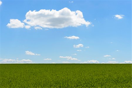 simsearch:600-03682254,k - Grainfield with Sky and Clouds in Spring, Baden-Wurttemberg, Germany Stock Photo - Premium Royalty-Free, Code: 600-08865366