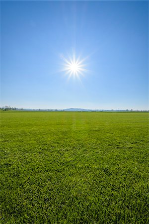 soleado - Green Grass with Blue Sky and Sun, Gunzenhausen, Weissenburg-Gunzenhausen, Bavaria, Germany Photographie de stock - Premium Libres de Droits, Code: 600-08865384