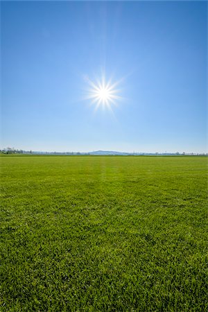 simsearch:600-08865388,k - Green Grass with Blue Sky and Sun, Gunzenhausen, Weissenburg-Gunzenhausen, Bavaria, Germany Stockbilder - Premium RF Lizenzfrei, Bildnummer: 600-08865384