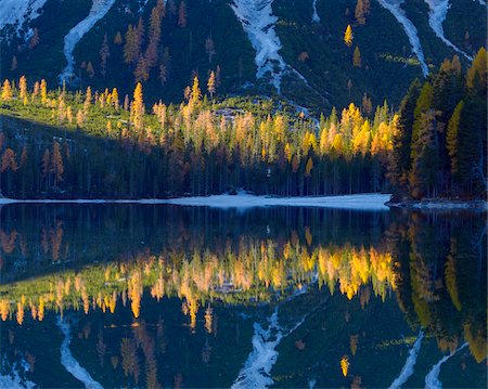 Detail of mountainside with colorful larch trees reflected in Braies Lake in autumn in the Prags Dolomites in Bozen Province, South Tyrol, Italy Foto de stock - Sin royalties Premium, Código: 600-08916143