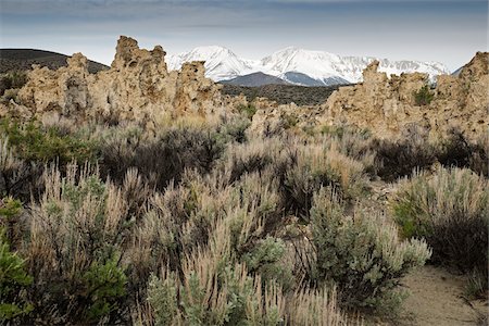 Rock formations and vegetation of Mono Lake with Sierra Nevada Mountains in the background in Eastern California, USA Stock Photo - Premium Royalty-Free, Code: 600-08945849