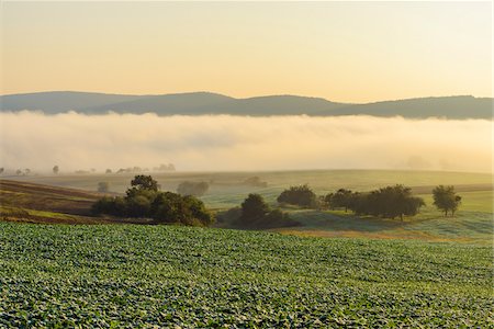 Countryside with morning mist over the fields in the community of Grossheubach in Bavaria, Germany Stock Photo - Premium Royalty-Free, Code: 600-08973353