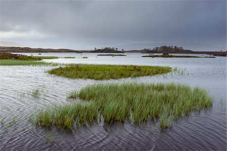simsearch:600-08973449,k - Grassy patches in a lake in a moor landscape with stormy sky at Rannoch Moor in Scotland, United Kingdom Foto de stock - Sin royalties Premium, Código: 600-08973431