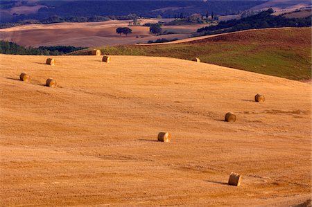 simsearch:700-02347947,k - Overview of hay bales on golden grain field in Tuscany, Italy Stockbilder - Premium RF Lizenzfrei, Bildnummer: 600-08986163