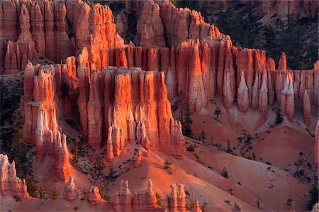 formação de arenito - Hoodoos of the Claron Formation at sunrise in Bryce Canyon National Park, Utah, USA Foto de stock - Royalty Free Premium, Número: 600-08986175