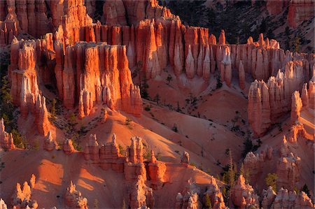 Overview of the Hoodoos of the Claron Formation at sunrise in Bryce Canyon National Park, Utah, USA Photographie de stock - Premium Libres de Droits, Code: 600-08986176