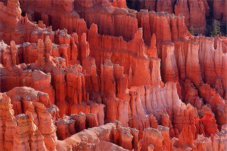 Hoodoos of the Claron Formation at sunrise in Bryce Canyon National Park, Utah, USA Photographie de stock - Premium Libres de Droits, Code: 600-08986178