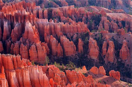 Overview of the Hoodoos of the Claron Formation at sunrise in Bryce Canyon National Park, Utah, USA Foto de stock - Sin royalties Premium, Código: 600-08986179