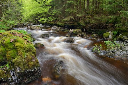 simsearch:600-06964178,k - Kalte Bode stream (of the Bode River) flowing through forest in the Elendstal Valley near Schierke in Harz, Germany Fotografie stock - Premium Royalty-Free, Codice: 600-08986221