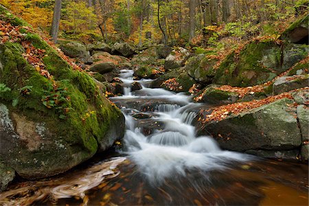 Water flowing in the Rriver Ilse with autumn leaves in the Ilse Valley along the Heinrich Heine Trail in Harz National Park, Harz, Germany Foto de stock - Royalty Free Premium, Número: 600-08986233