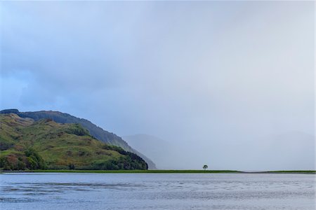 simsearch:600-07540305,k - Dramatic scene of misty clouds and a lone tree on the Scottish coast near Eilean Donan Castle and Kyle of Lochalsh in Scotland, United Kingdom Foto de stock - Sin royalties Premium, Código: 600-08986484
