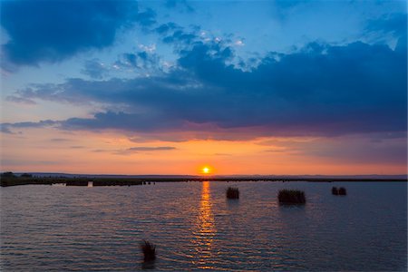 simsearch:600-08783092,k - Sun reflected in water at sunset on Lake Neusiedl in Burgenland, Austria Photographie de stock - Premium Libres de Droits, Code: 600-09013796