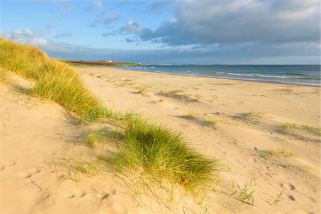 simsearch:700-09013950,k - Sand dunes on the beach at Bamburgh with the North Sea in the background in Northumberland, England, United Kingdom Foto de stock - Sin royalties Premium, Código: 600-09013939