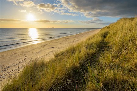 Dune grass and beach at sunrise along the North Sea at Bamburgh in Northumberland, England, United Kingdom Foto de stock - Sin royalties Premium, Código: 600-09013930