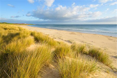 simsearch:700-09013953,k - Sand dunes with dune grass on the beach at Bamburgh along the North Sea in Northumberland, England, United Kingdom Stock Photo - Premium Royalty-Free, Code: 600-09013931