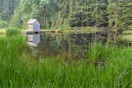 Little pond and fishing hut at Klause in Alt Neuschoenau in the Bavarian Forest National Park, Bavaria, Germany Foto de stock - Sin royalties Premium, Código: 600-09022473