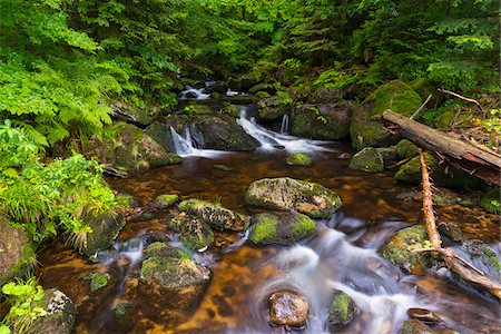 simsearch:600-09022488,k - Mountain stream after rain at Kleine Ohe at Waldhauser in the Bavarian Forest National Park in Bavaria, Germany Stock Photo - Premium Royalty-Free, Code: 600-09022496