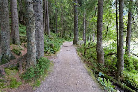 simsearch:600-07844419,k - Lakeside path on Lake Grosser Arbersee, Bayerisch Eisenstein in the Bavarian Forest in Bavaria, Germany Stockbilder - Premium RF Lizenzfrei, Bildnummer: 600-09022508