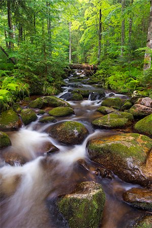 simsearch:6119-08741490,k - Mountain stream after rain at Kleine Ohe at Waldhauser in the Bavarian Forest National Park in Bavaria, Germany Stock Photo - Premium Royalty-Free, Code: 600-09022502