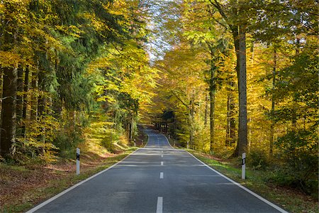 simsearch:600-09022460,k - Forest road in autumn at Spiegelau in the Bavarian Forest National Park in Bavaria, Germany Photographie de stock - Premium Libres de Droits, Code: 600-09022528