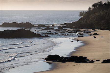 simsearch:600-02128975,k - Scenic view of silhouette of surfer on beach at Port Macquarie in New South Wales, Australia Stock Photo - Premium Royalty-Free, Code: 600-09022567