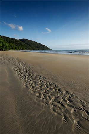 simsearch:841-08101817,k - Patterns in wet sand on beach at Cape Tribulation in Queensland, Australia Stock Photo - Premium Royalty-Free, Code: 600-09022587