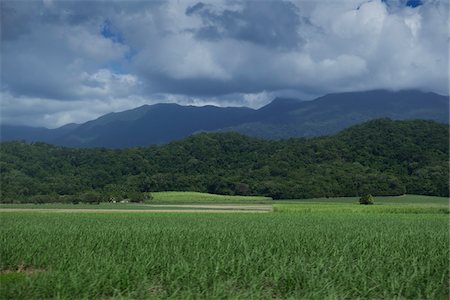 dark cloud - Farmland and mountain range outside of Cairns in Queesnland, Australia Stock Photo - Premium Royalty-Free, Code: 600-09022589