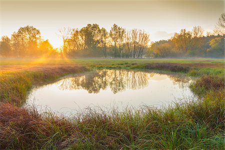 scene - Pond in misty meadow with golden morning light at sunrise in Autumn in Hesse, Germany Photographie de stock - Premium Libres de Droits, Code: 600-09035335