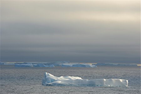 south atlantic ocean - Sunlit icebergs floating in the Antarctic Sound at the Antarctic Peninsula, Antarctica Foto de stock - Sin royalties Premium, Código: 600-09052809