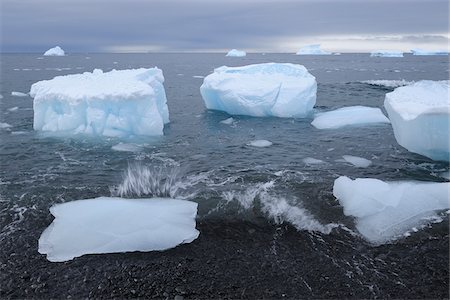 simsearch:600-07784396,k - Icebergs with large pieces of ice washed up on a volcanic beach in Brown Bluff at the Antarctic Peninsula, Antarctica Photographie de stock - Premium Libres de Droits, Code: 600-09052814