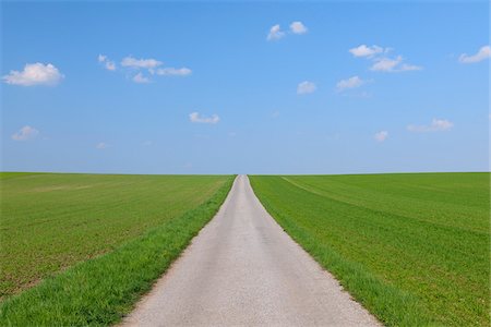 Road through a cereal grain field on a sunny day in spring in Burgenland, Austria Stockbilder - Premium RF Lizenzfrei, Bildnummer: 600-09052827