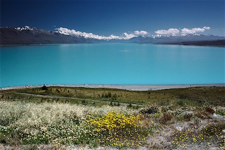Lake Pukaki, Mount Cook Region New Zealand Foto de stock - Sin royalties Premium, Código: 600-00007390