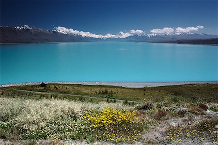 Lake Pukaki, Mount Cook Region New Zealand Stock Photo - Premium Royalty-Free, Code: 600-00007390