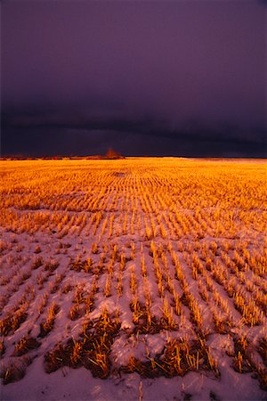 simsearch:600-00040915,k - Winter Storm Alberta, Canada Foto de stock - Sin royalties Premium, Código: 600-00009185