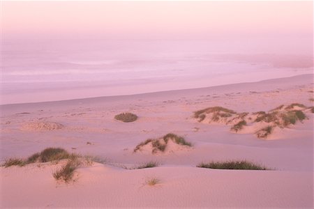 simsearch:600-00022019,k - Dunes de sable près de l'océan Atlantique, en Afrique du Sud Photographie de stock - Premium Libres de Droits, Code: 600-00014762