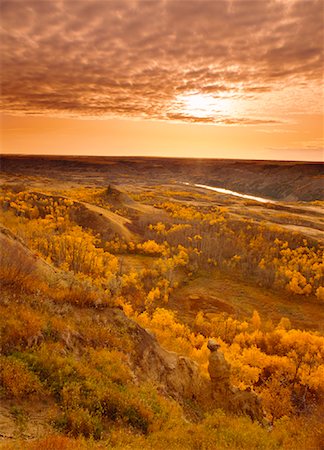 daryl benson nature landscape - Parc Provincial de Dry Island Buffalo Jump en automne (Alberta), Canada Photographie de stock - Premium Libres de Droits, Code: 600-00015917