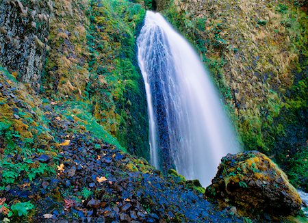 simsearch:700-00055021,k - Wahkeena tombe Columbia River Gorge Oregon, USA Photographie de stock - Premium Libres de Droits, Code: 600-00015963