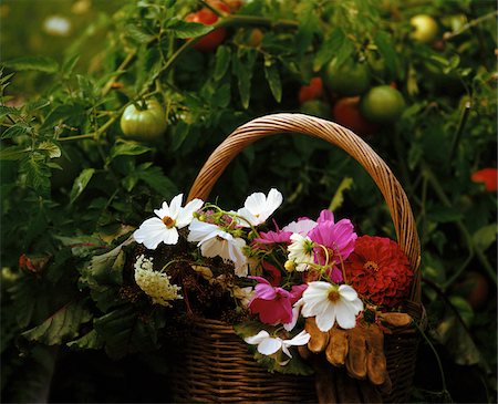 flower arrangement - Basket of Flowers Stock Photo - Premium Royalty-Free, Code: 600-00016418