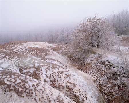 simsearch:600-00174002,k - Cheltenham Badlands Ontario, Canada Fotografie stock - Premium Royalty-Free, Codice: 600-00013874