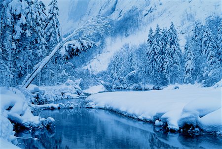 simsearch:600-00022390,k - Rivière et les arbres dans la vallée de Bluntautal hiver, Salzburg Autriche Photographie de stock - Premium Libres de Droits, Code: 600-00035992