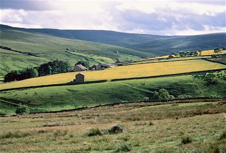 Yorkshire Dales Yorkshire, England Foto de stock - Sin royalties Premium, Código: 600-00040543