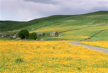 Whitsun Dale, Yorkshire Dales Yorkshire, England Foto de stock - Sin royalties Premium, Código: 600-00040550