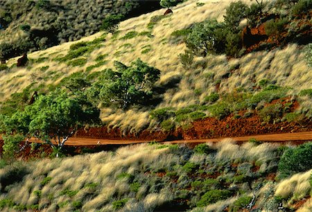 Herbe spinifex et Australie Gum Tree parc National de Karijini Photographie de stock - Premium Libres de Droits, Code: 600-00054682