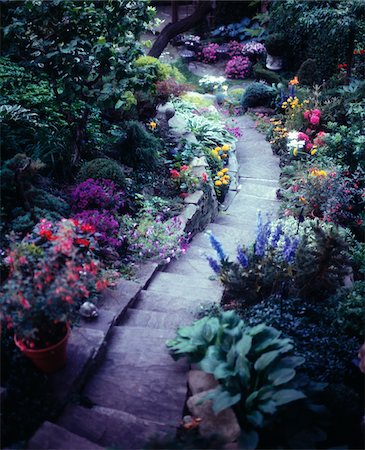 staircase overhead view - Steps in Garden Stock Photo - Premium Royalty-Free, Code: 600-00056876