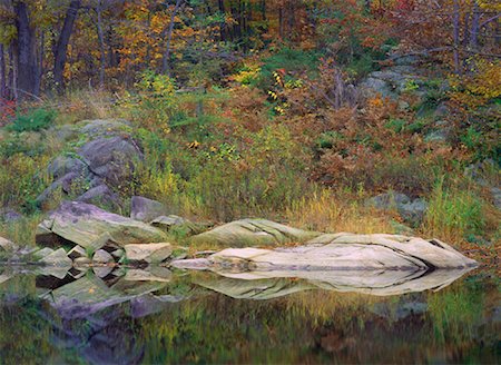 simsearch:600-00796021,k - Reflections of Foliage on Water In Autumn, Near Parry Sound, Ontario, Canada Stock Photo - Premium Royalty-Free, Code: 600-00059230