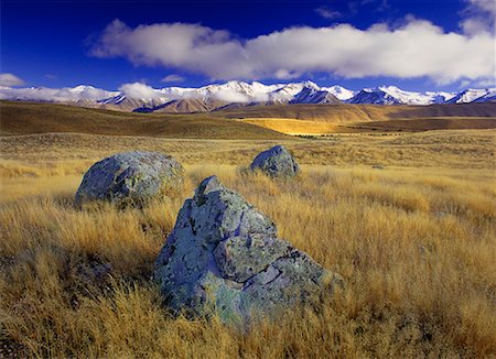 simsearch:600-00796038,k - Rocks in Field, Pukaki Scientific Reserve, South Island, New Zealand Foto de stock - Sin royalties Premium, Código: 600-00059358