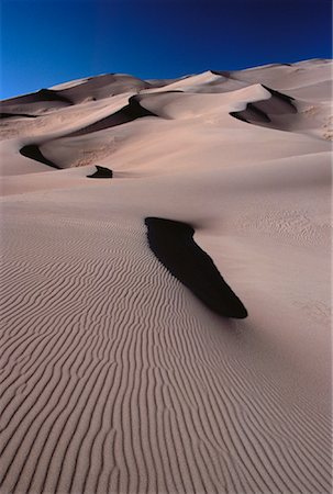 simsearch:600-01164856,k - Sand Dunes Colorado, USA Fotografie stock - Premium Royalty-Free, Codice: 600-00052461