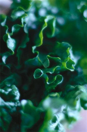 simsearch:600-06967743,k - Close-Up of Lettuce Stock Photo - Premium Royalty-Free, Code: 600-00065373