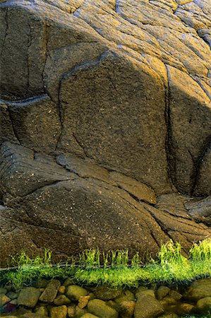 Stones, Seaweed and Cliff Face on Brier Island, Bay of Fundy, Nova Scotia, Canada Foto de stock - Sin royalties Premium, Código: 600-00067640